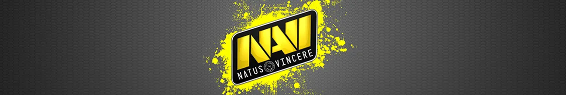 Natus Vincere Completed Its Dota 2 Roster